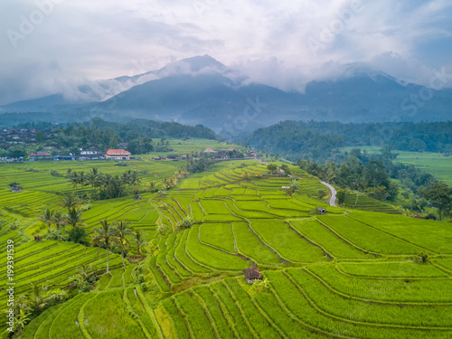 Terraces of Rice Fields and Mountains in the Clouds. Aerial View