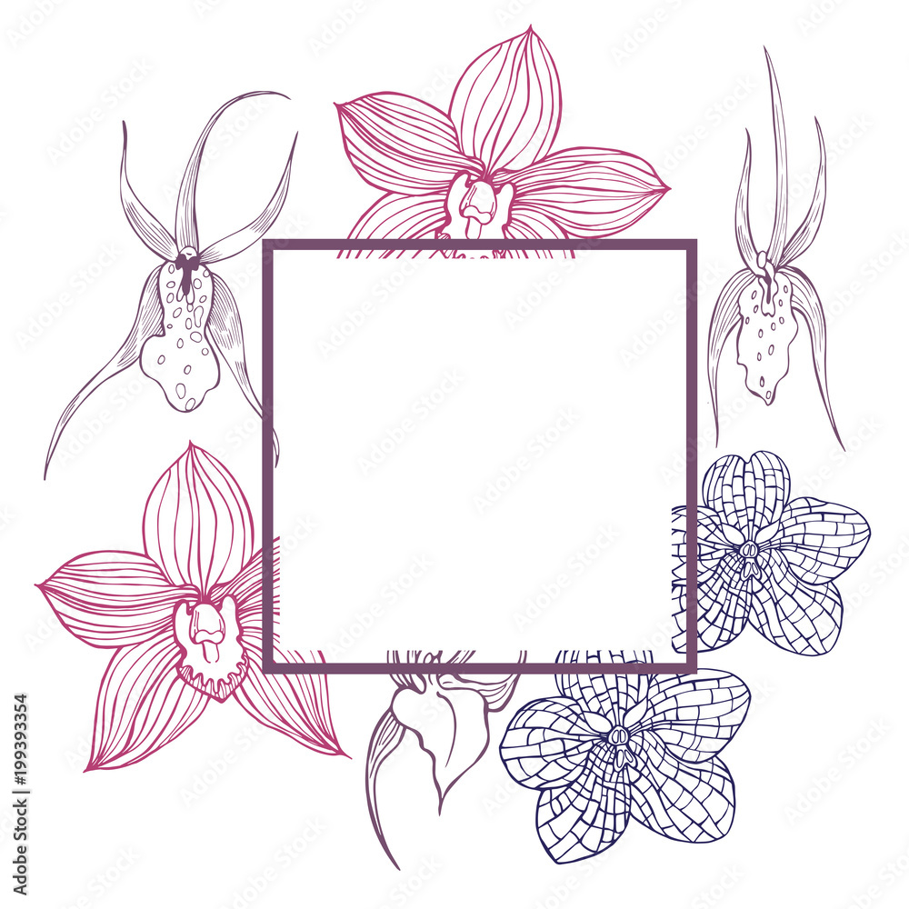  Vector frame with hand drawn orchids.
