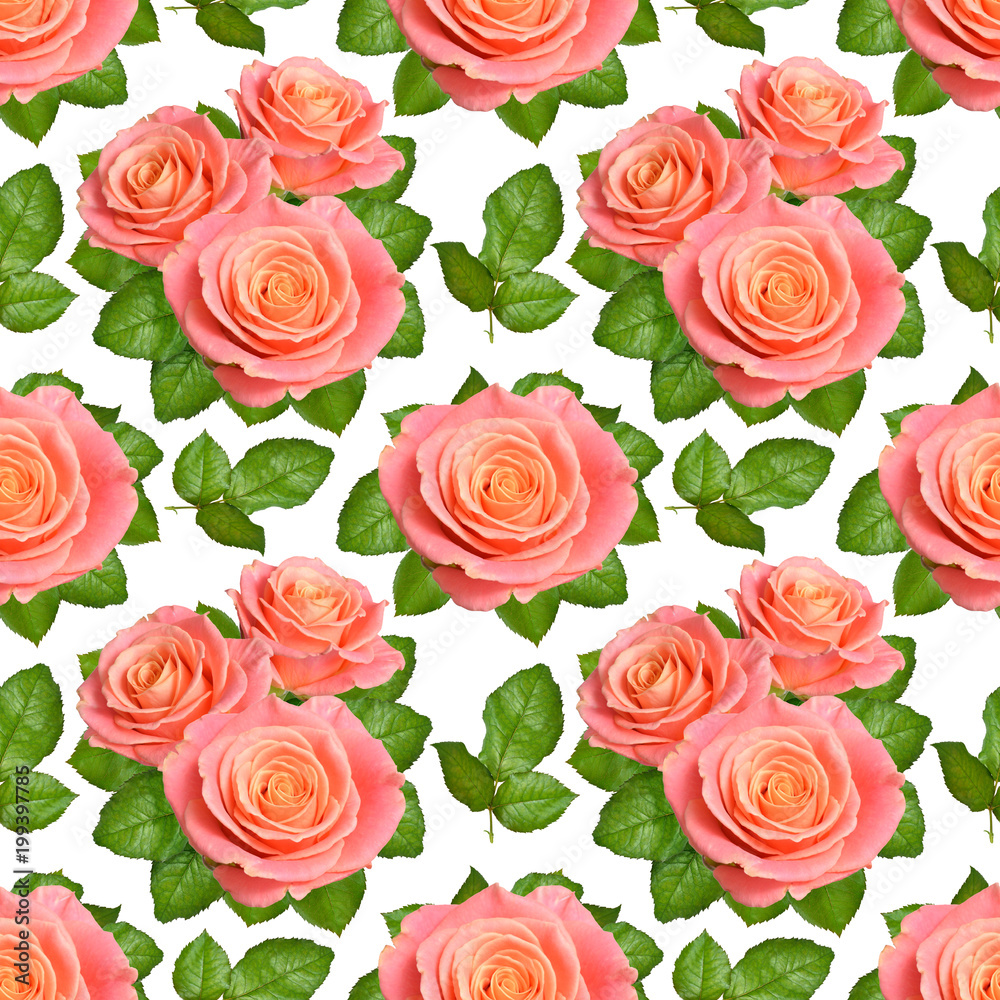 Seamless background with Pink roses. Isolated on white background Seamless background with Pink roses. Isolated on white background