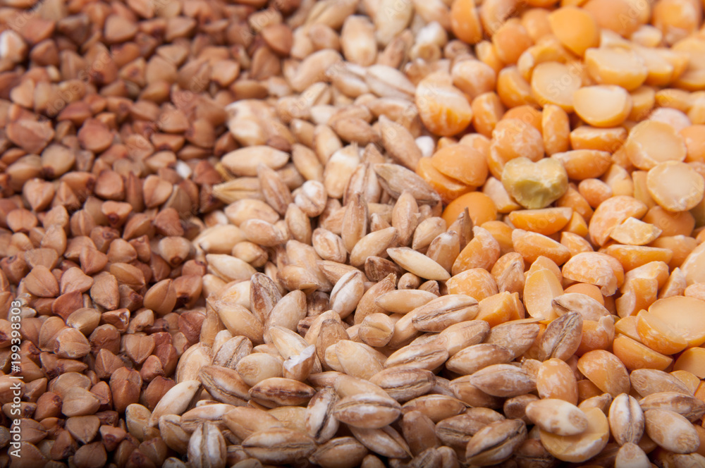 Natural wheat grain on the white Natural wheat grain on the white