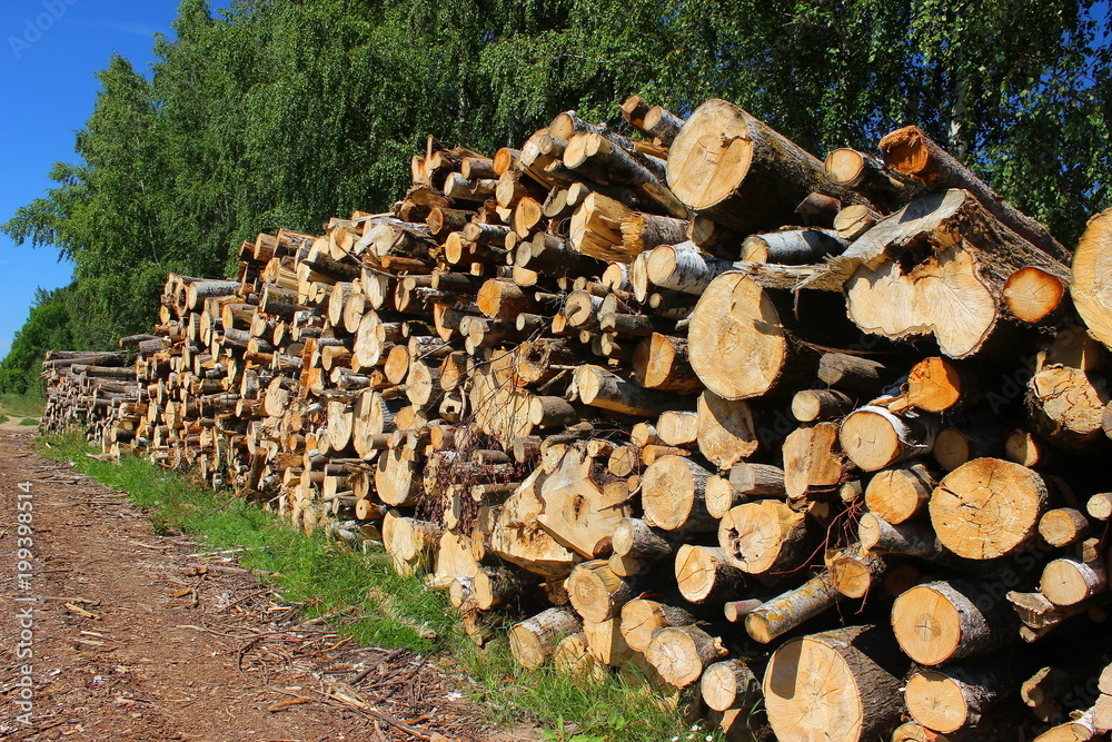 Harvesting wood-logs stacked on the road in the summer on a background of forest