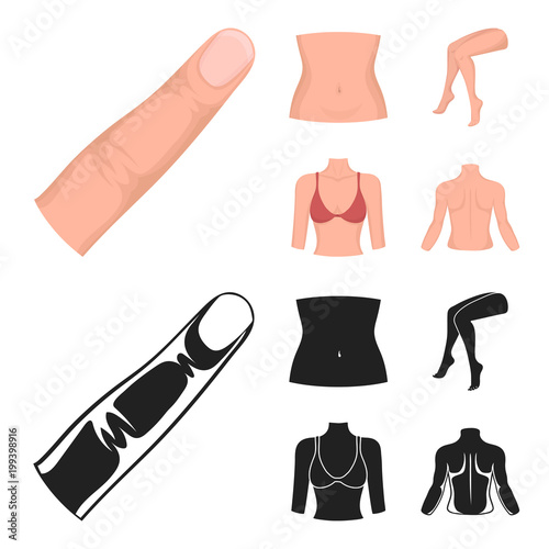 Finger, female feet, female, bust. Part of the body set collection icons in cartoon,black style vector symbol stock illustration web.