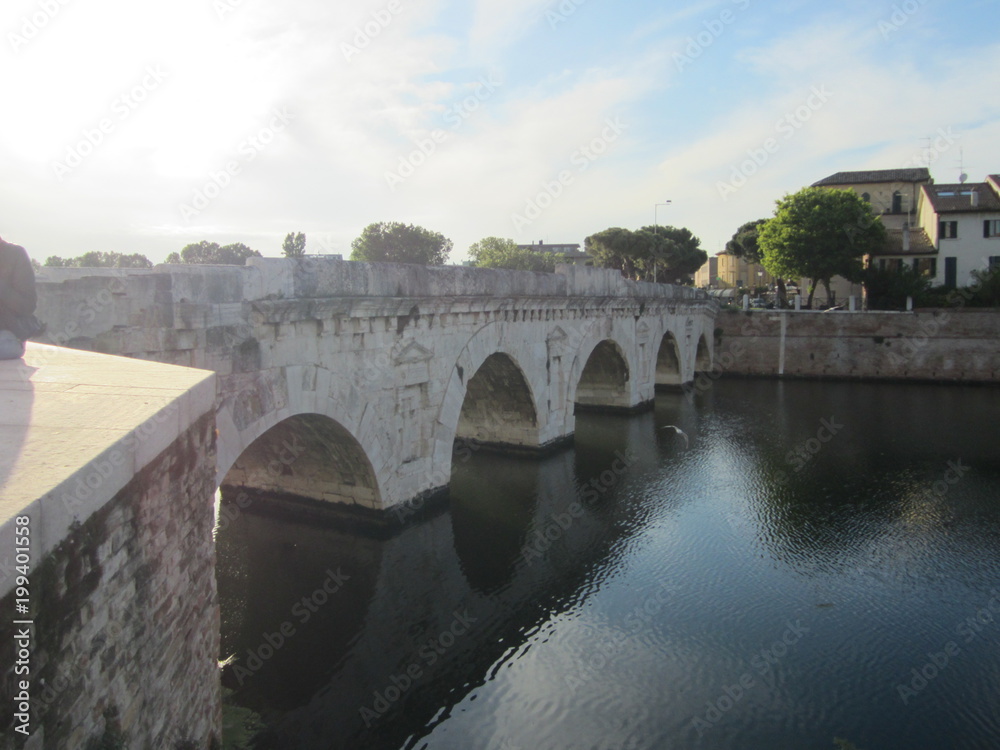 Naklejka premium Flower in Italy