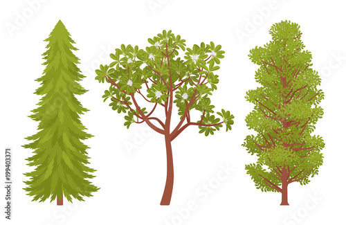 Green trees set