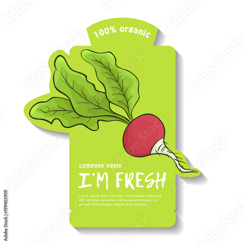 Quadro em tela Vector illustration of a radish