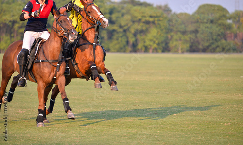 Horse polo player battle in match.