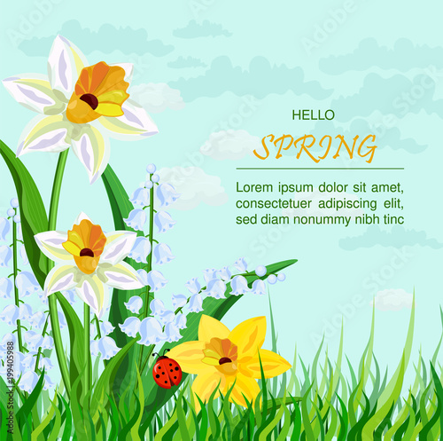 Narcissus flowers background Vector. Spring Holidays illustrations