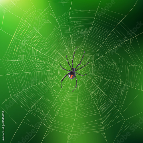 Spider Weaving Its Web Realistic Background