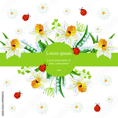 Narcissus flowers background Vector. Spring Holidays illustrations