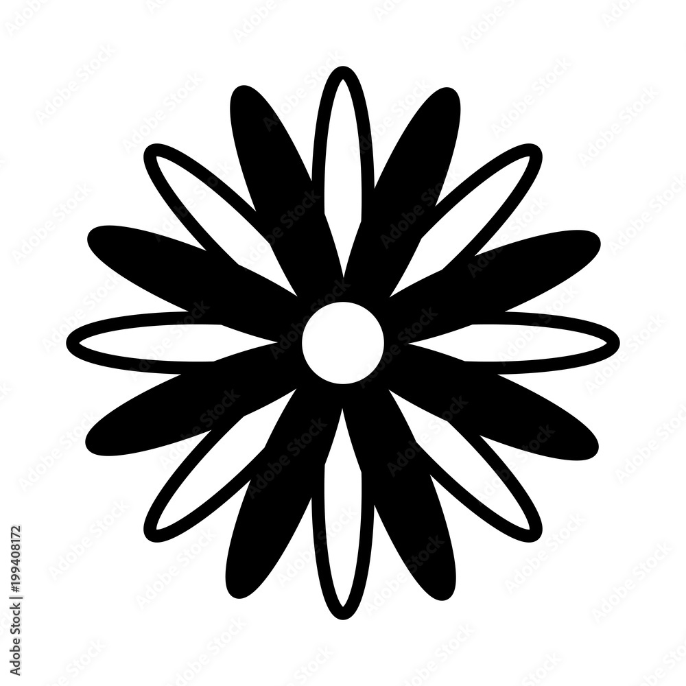 black and white flower daisy decoration vector illustration black and white flower daisy decoration vector illustration
