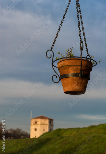 Hanging flowers on the background Kalemegdan, Belgrade, Serbia photo