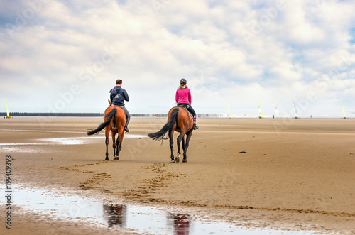 chevaux et chars à voile sur la plage
