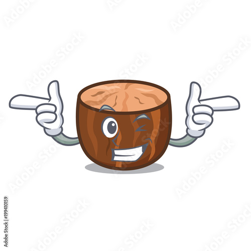 Wink nutmeg character cartoon style