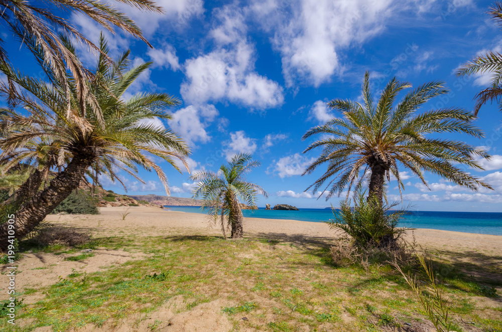 The palm forest of Vai is one of the most popular sights in Crete.It attracts thousands of visitors every year.They come not only for its wonderful palm forest,but also for the amazing tropical beach