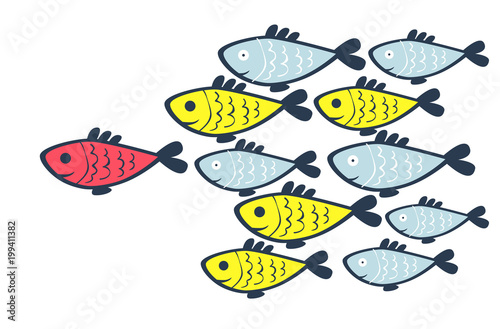 Photography school of fish