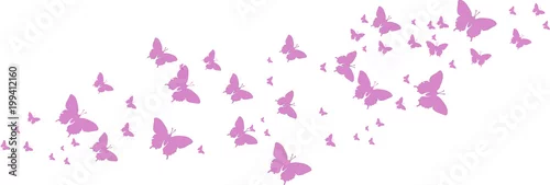 Obraz Lila Schmetterlinge