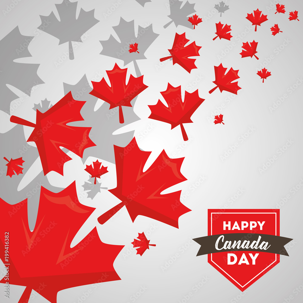 Fototapeta premium happy canada day greeting card maple leaves and label vector illustration