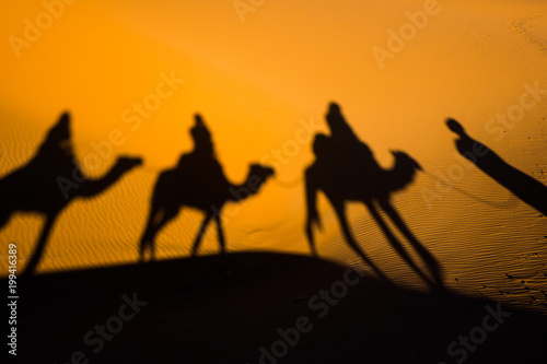 Caravan traveling and camels shadows on the sand in Sahara desert