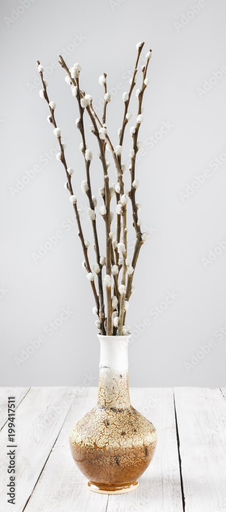 Branches of willows in a vase on a white wooden table. Strip's Photo. Minimalism