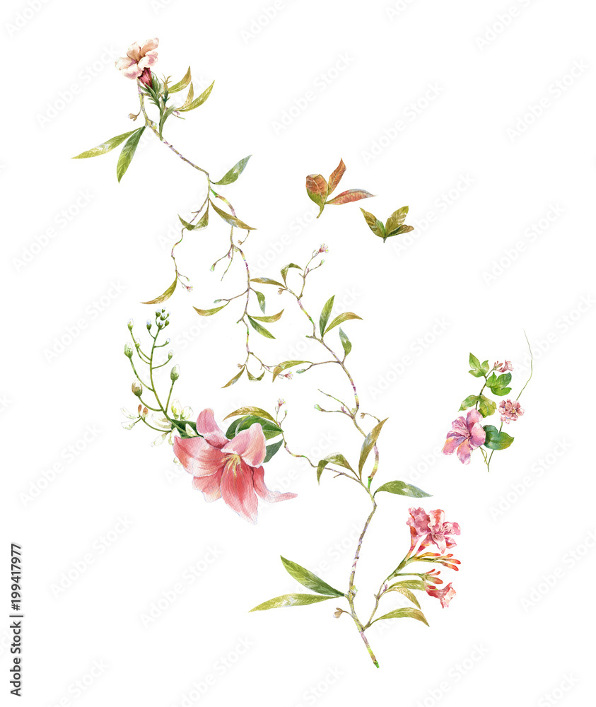 Fototapeta premium watercolor painting of leaves and flower, on white background