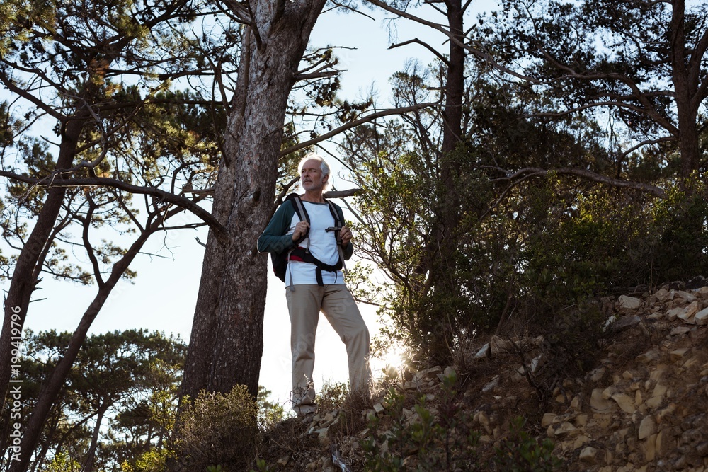 Senior hiker standing with backpack in forest Senior hiker standing with backpack in forest