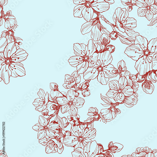 Seamless pattern. Almond blossom branches. Vintage botanical hand drawn illustration. Spring flowers of apple or cherry tree. photo