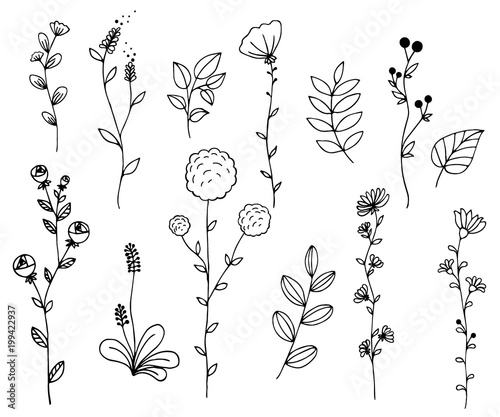 Hand drawn of vector vintage elements wild flowers and leaves collection. For invitations, greeting cards, quotes, blogs, posters.