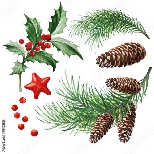 Christmas Symbols - Holly Leaves, Christmas Tree with Cones and Star on White Background.