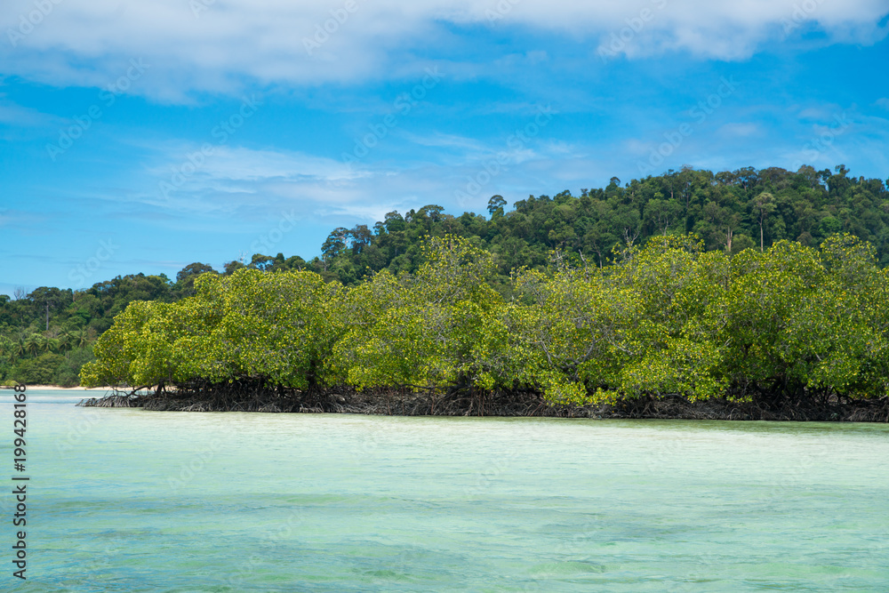 Fototapeta premium Sea island front view seascape sunny with tree around