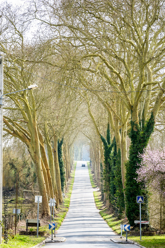 The small sloping country road leaving the village of Rozay-en-Brie to the south  bordered by two rows of majestic plane trees  is a true invitation to take a road trip around the french countryside.