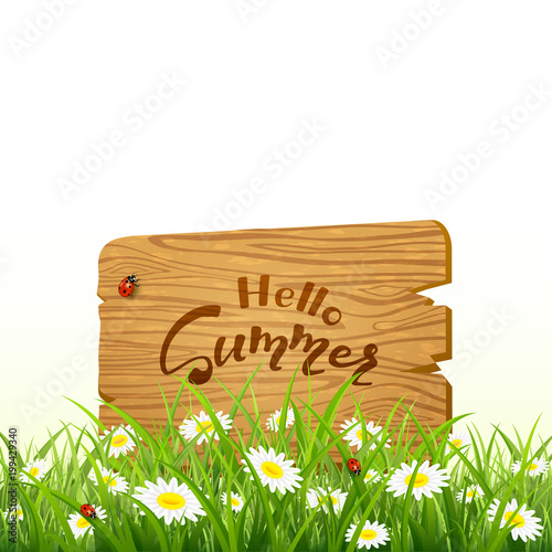Lettering Hello Summer on wooden board and nature background with grass