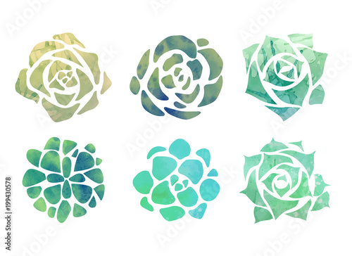 Set of watercolor succulents with a top view on a white background. Vector element for your creativity