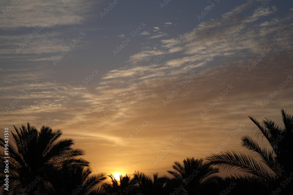 Sunrise in Africa, Egypt