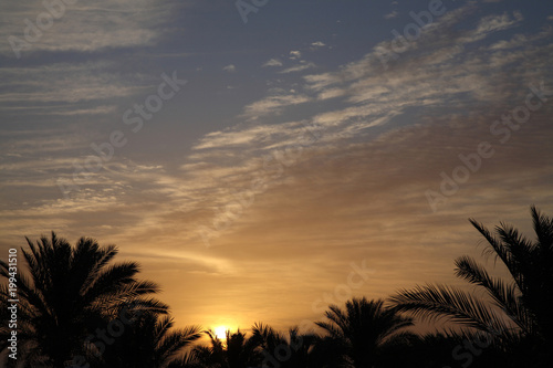 Sunrise in Africa, Egypt