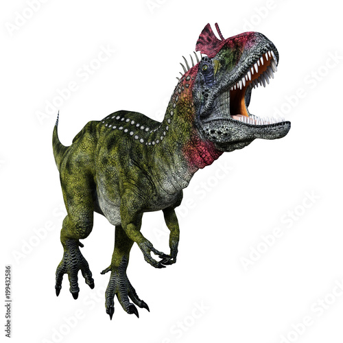 3D Rendering Dinosaur Cryolophosaurus on White © photosvac