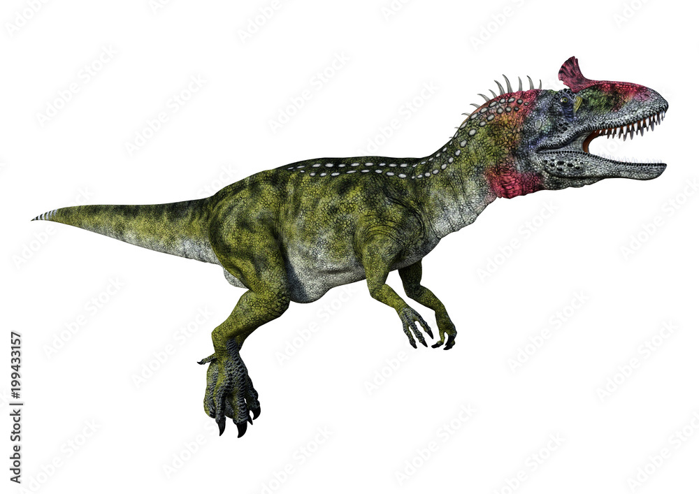 3D Rendering Dinosaur Cryolophosaurus on White 3D Rendering Dinosaur Cryolophosaurus on White