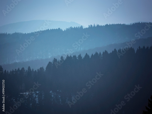 Pine tree forests on misty mountain slopes.