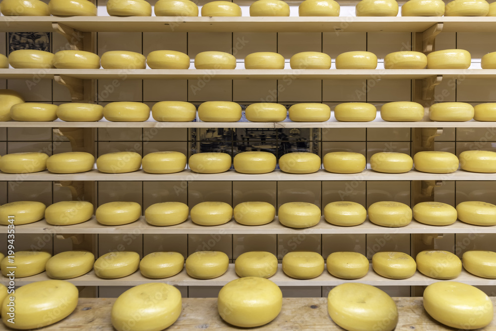Block of Dutch cheese displayed on the tray in the cheese shop at Zaanse Schans, Netherlands Block of Dutch cheese displayed on the tray in the cheese shop at Zaanse Schans, Netherlands