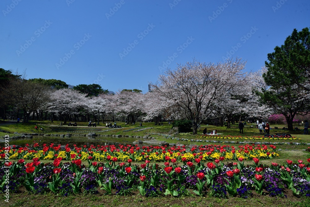 別府公園