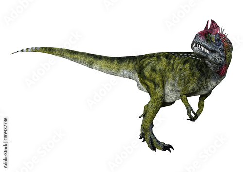 3D Rendering Dinosaur Cryolophosaurus on White © photosvac