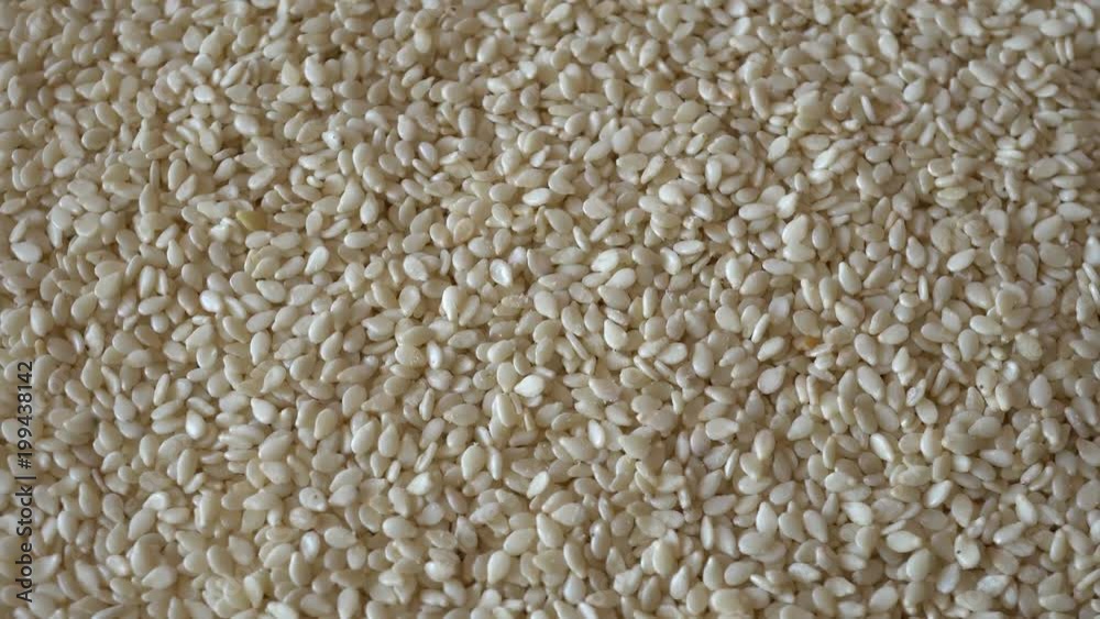 4k Sesame Rotation Background