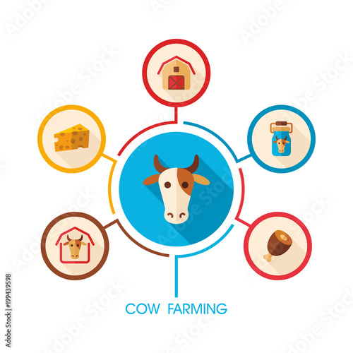 Cow farming icon and agriculture infographics