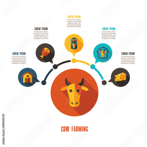 Cow farming icon and agriculture infographics