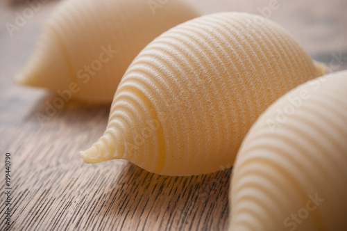 closeup of shaped seashell pasta alignment on wooden background