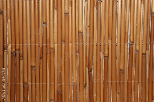 bamboo background at the wall