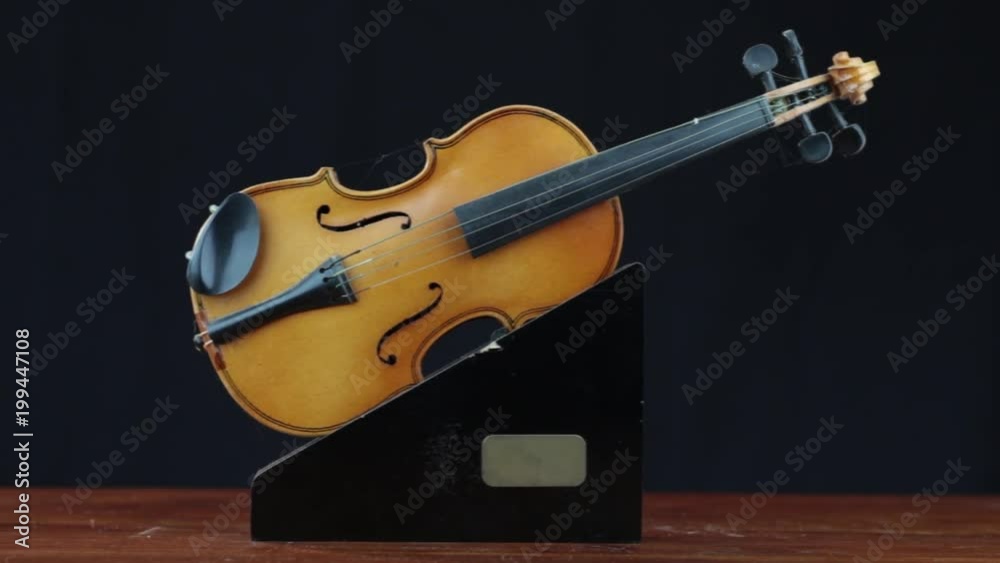 gros plan violon bois design
