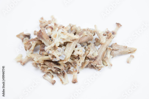 Chicken bones fragments on white background, Isolated
