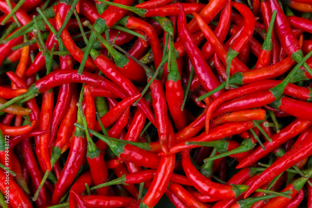 Red Chillies Background,Selective focus.Thai chillies.Organic ingredient thai food.