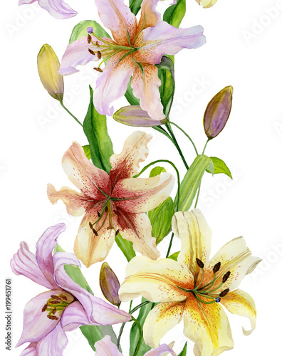 Beautiful lily flowers with green leaves on white background. Seamless floral pattern. Straight and narrow. Watercolor painting. Hand drawn and painted  illustration.