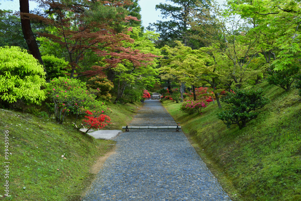 日本庭園の春　京都